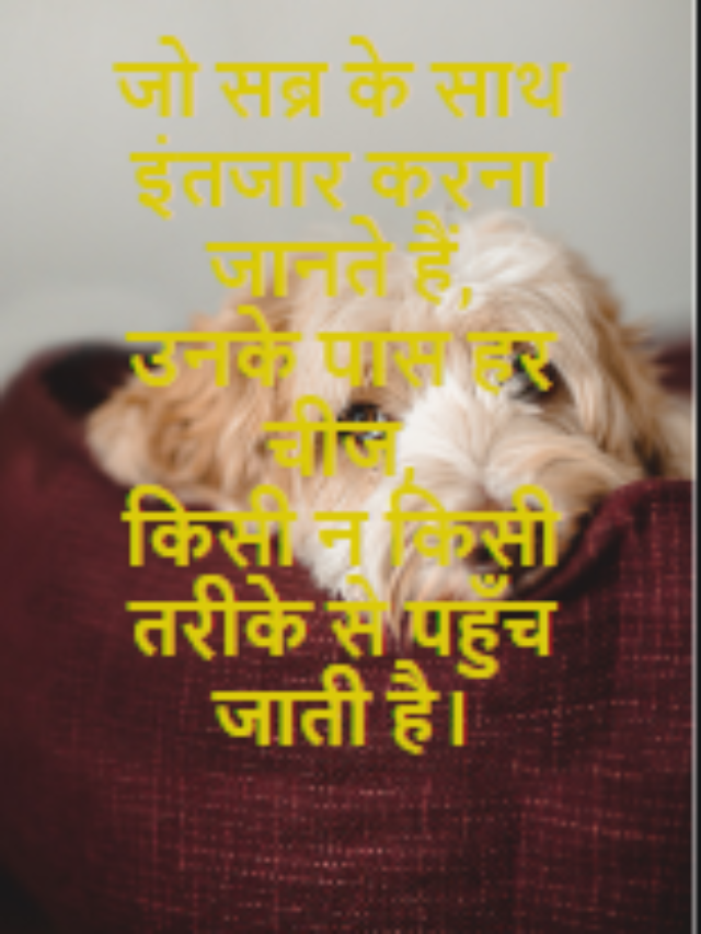 जो सब्र के साथ इंतजार करना जानते हैं,
उनके पास हर चीज,
किसी न किसी तरीके से पहुँच जाती है।