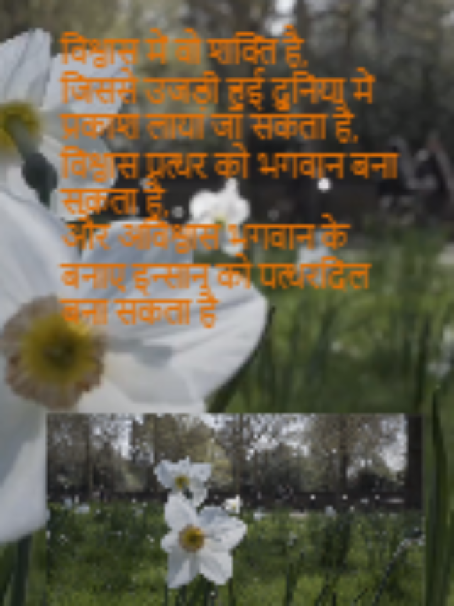 विश्वास में वो शक्ति है,
जिससे उजड़ी हुई दुनिया में प्रकाश लाया जा सकता है,
विश्वास पत्थर को भगवान बना सकता है,
और अविश्वास भगवान के बनाए इन्सान को पत्थरदिल बना सकता है