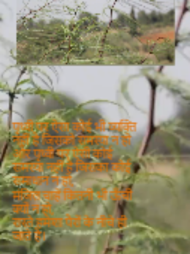 पृथ्वी पर ऐसा कोई भी व्यक्ति नहीं है जिसको समस्या न हो
और पृथ्वी पर ऐसी कोई समस्या नहीं है जिसका कोई समाधान न हो,
मंजिल चाहें कितनी भी ऊँची क्यों न हो,
रास्ते हमेशा पैरों के नीचे ही जाते है।