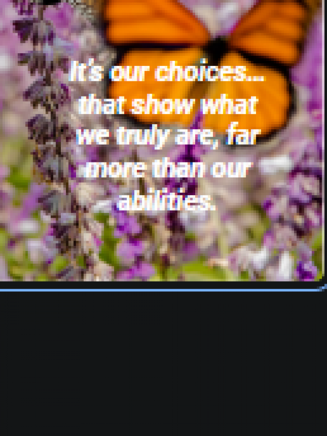 It’s our choices…that show what we truly are, far more than our abilities.