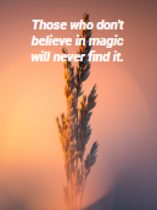 Those who don’t believe in magic will never find it.