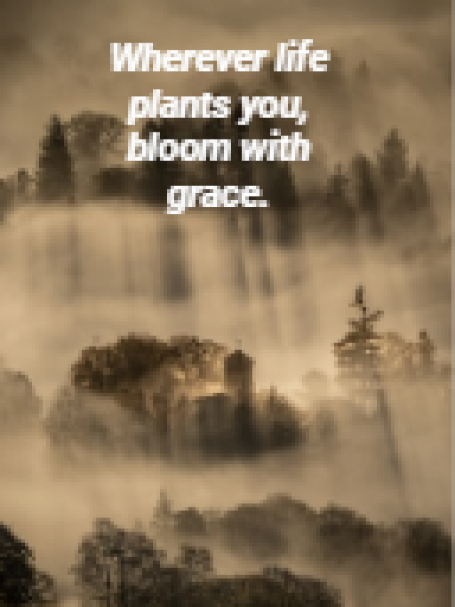 Wherever life plants you, bloom with grace.