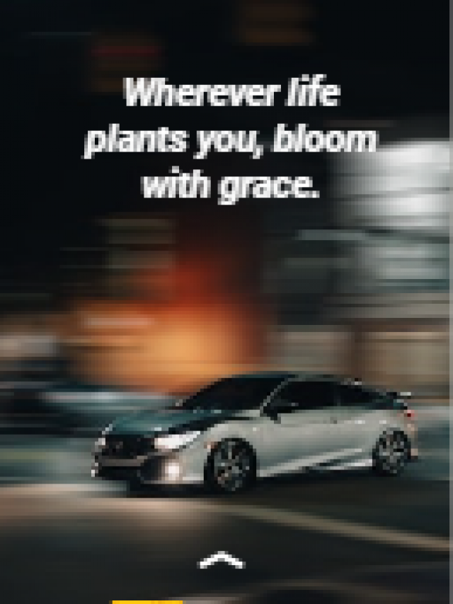 Wherever life plants you, bloom with grace.