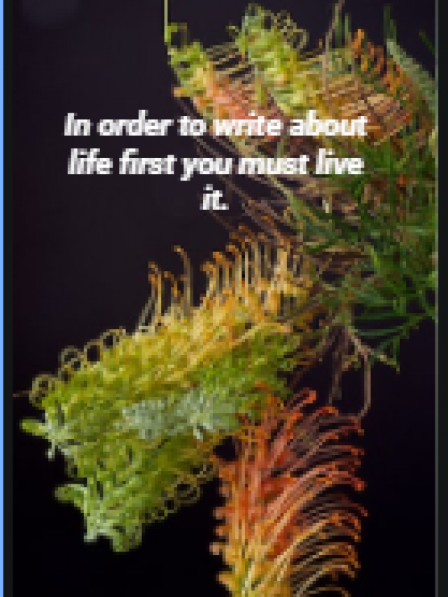 In order to write about life first you must live it.