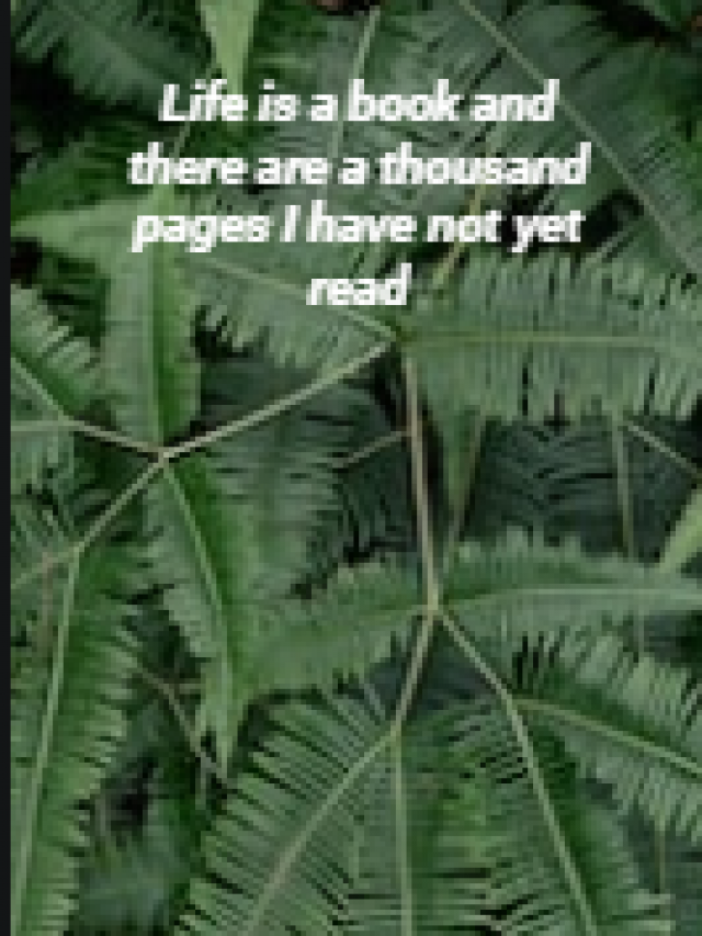 Life is a book and there are a thousand pages I have not yet read