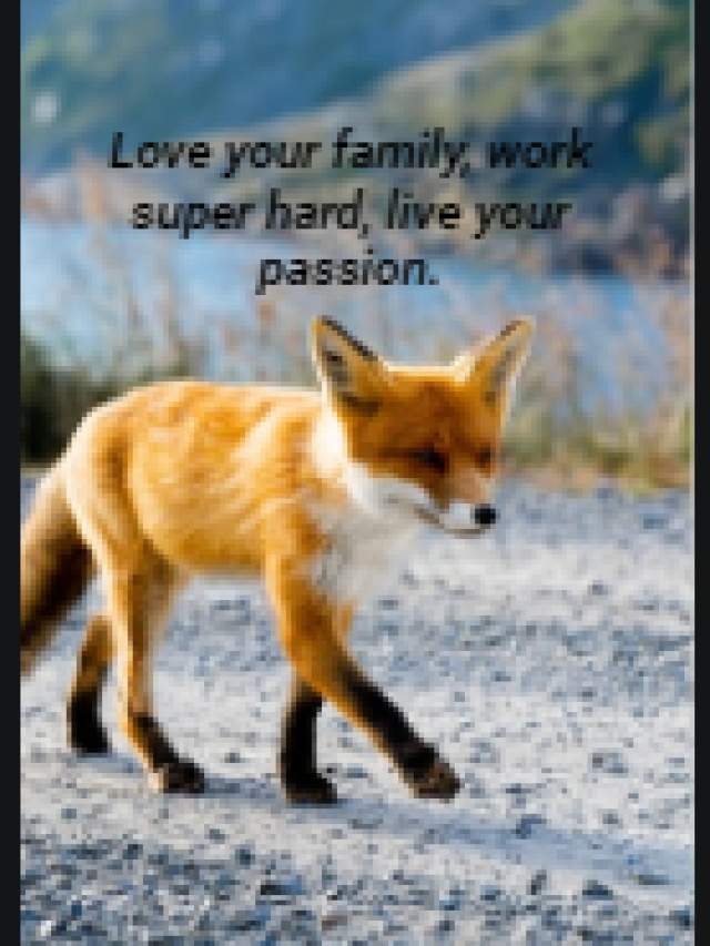 Love your family, work super hard, live your passion.