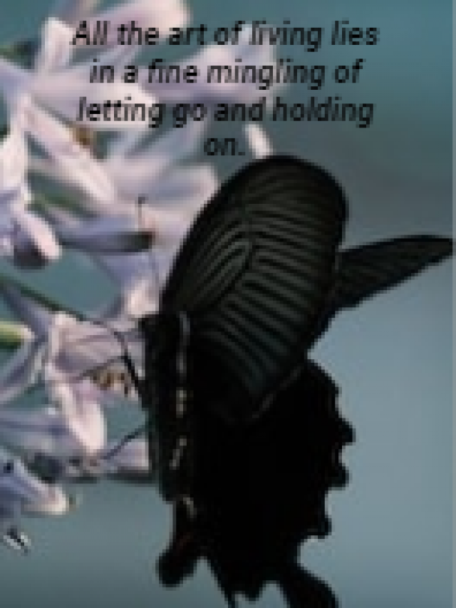 All the art of living lies in a fine mingling of letting go and holding on.