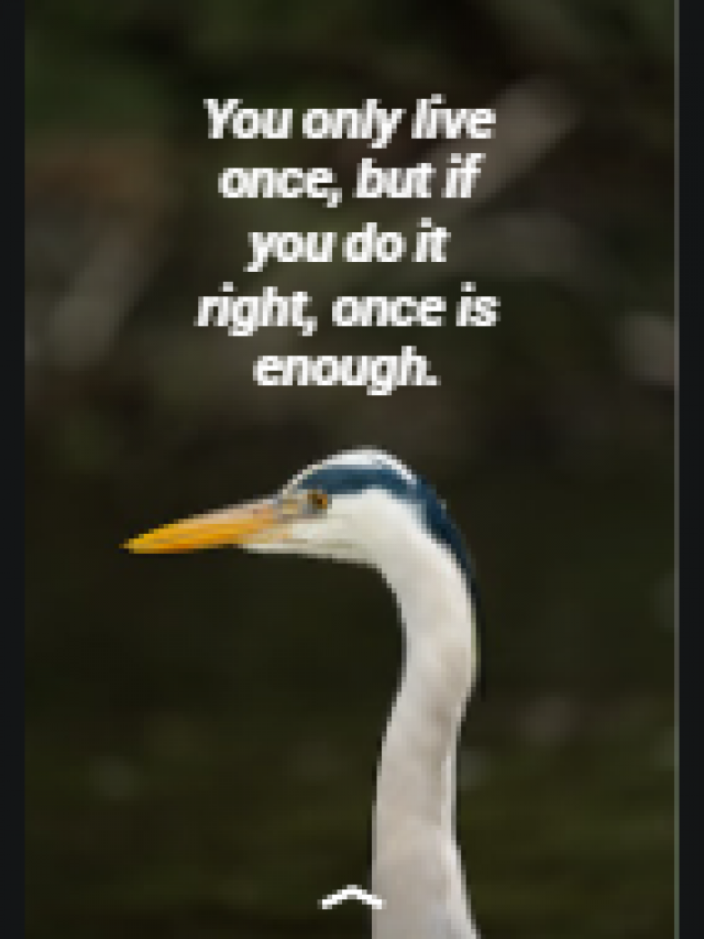 You only live once, but if you do it right, once is enough.