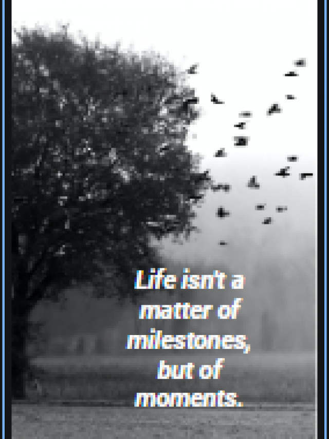 Life isn’t a matter of milestones, but of moments.