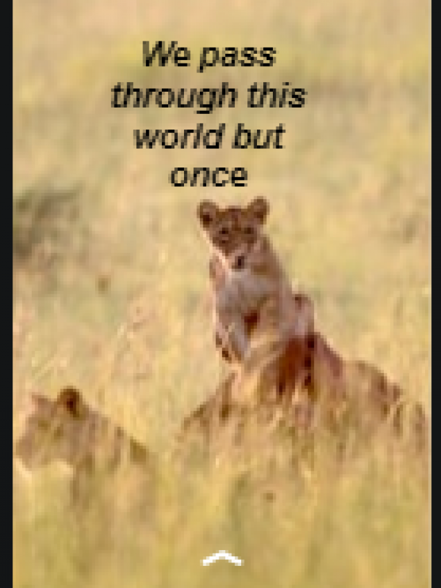 We pass through this world but once