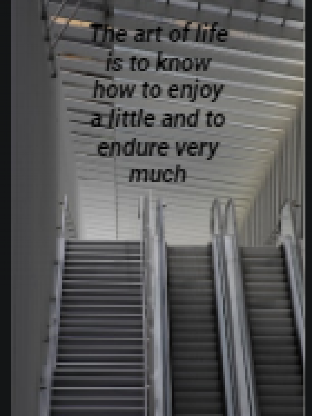 The art of life is to know how to enjoy a little and to endure very much