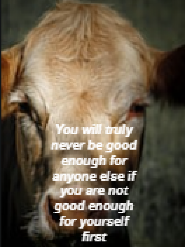 You will truly never be good enough for anyone else if you are not good enough for yourself first