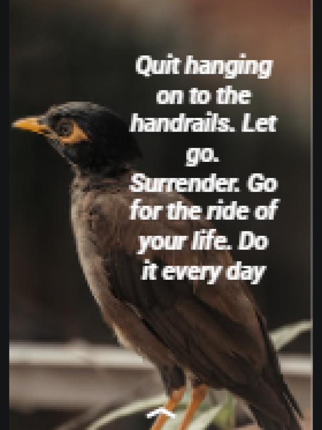 Quit hanging on to the handrails. Let go. Surrender. Go for the ride of your life. Do it every day