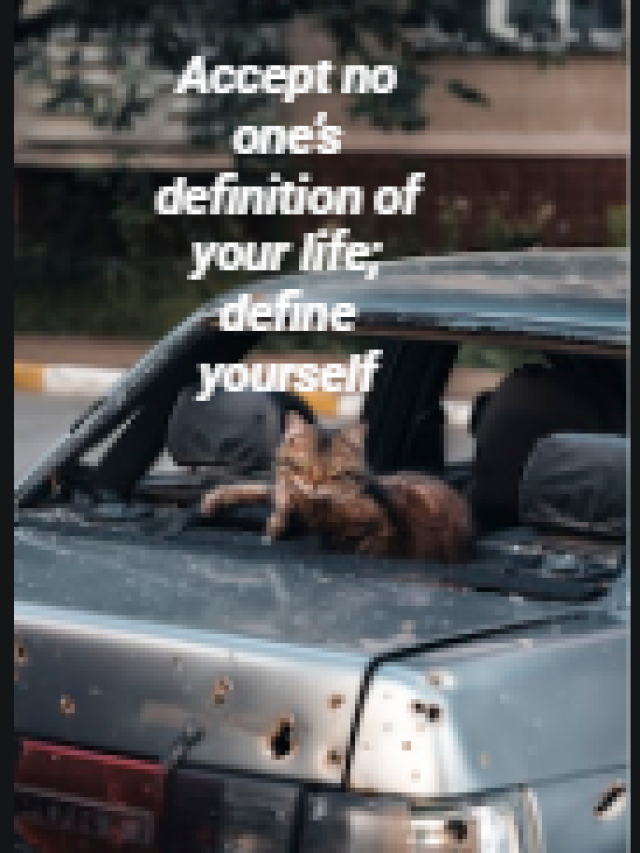 Accept no one’s definition of your life; define yourself